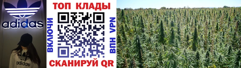 Купить закладку АМФ  Марихуана  Меф  ГАШИШ  Cocaine  Лебедянь
