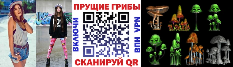 Купить закладки  Лебедянь  Галлюциногенные грибы Cubensis 
